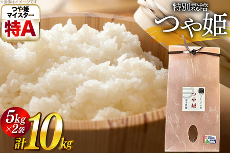 令和7年産 厳選米 匠 特別栽培米 つや姫 10kg [金子農園 山形県 高畠町 tk06ays950034]