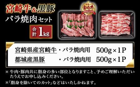 宮崎牛&黒豚バラ焼肉セット(合計1kg)_18-N402_(都城市) 宮崎県産宮崎牛 都城産黒豚  バラ焼肉用 各500g×1P セット 焼肉用カット 焼肉 BBQ 冷凍
