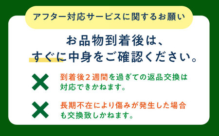 びわ 4パック【2026年5月下旬以降発送】【神川農園】 [DBT006] びわ