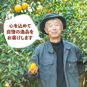 isa655 ＜数量限定＞ゆずしぼり(190ml×9本) 柚子 ゆず ユズ 果汁 100% ジュース 自家栽培 塩不使用 食酢 ポン酢 お湯割 【ゆず香房】