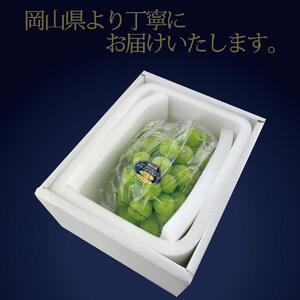 [HS]9月・10月発送 最高級品 シャインマスカット 晴王 1房 約600g ｜  シャインマスカット