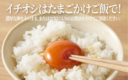 【定期便3ヶ月】たまごの郷奥丹波 10個×3パック