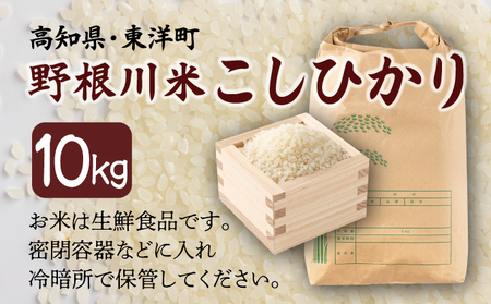 【先行予約】【令和8年度産】MZ001 野根川米10kg こしひかり