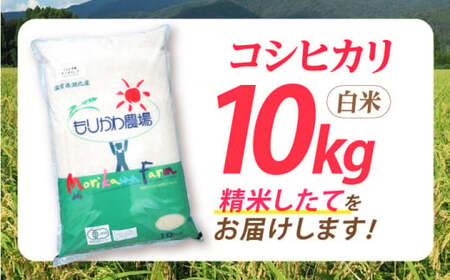 米 コシヒカリ JASオーガニック 10kg 白米 [AQBL003]こしひかり