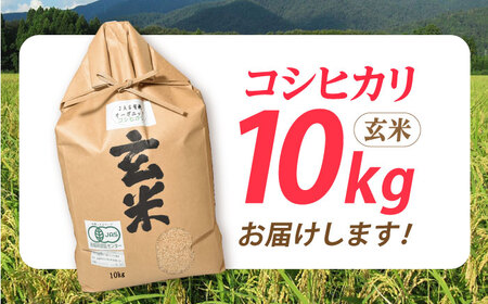 米 コシヒカリ JASオーガニック 10kg 玄米 [AQBL004]こしひかり