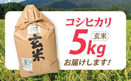 米 コシヒカリ JASオーガニック 5kg 玄米 [AQBL010]玄米 コシヒカリ