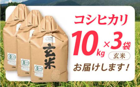 米 コシヒカリ JASオーガニック 30kg [AQBL011]玄米