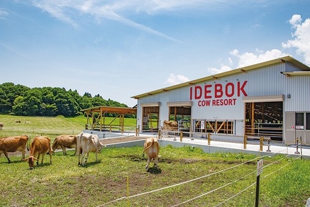 0019-06-01 いでぼく COW RESORT IDEBOK 朝搾りたての牛乳使用！ チーズ作り体験 【2名様】