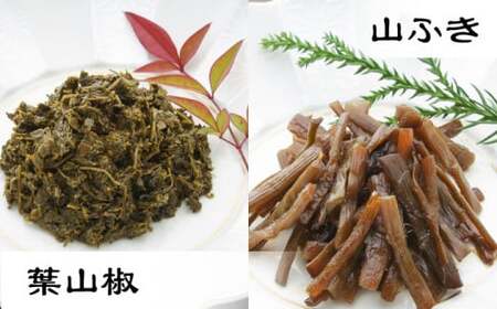 小あゆ木の芽煮90g2点山菜の佃煮3点 詰合[AQCA007] 佃煮
