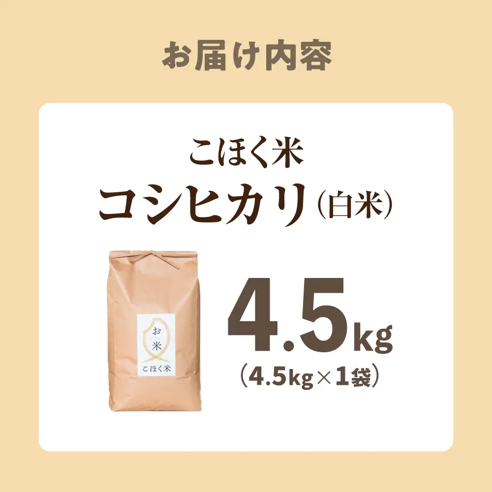 白米 令和7年産 コシヒカリ4.5kg[AQAK002]白米
