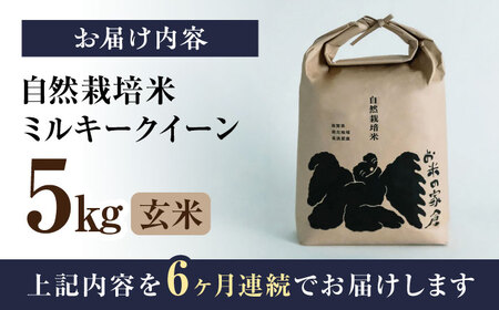 【全6回】米 ミルキークイーン 5kg 玄米 [AQCP013] 自然栽培米