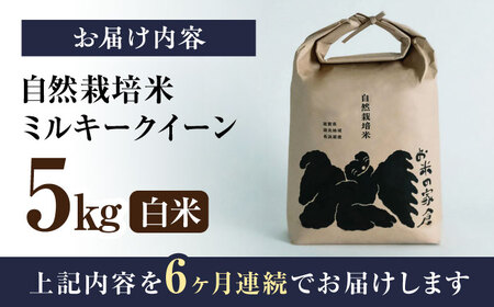 【全6回】米 ミルキークイーン 5kg 白米 [AQCP014] 自然栽培米