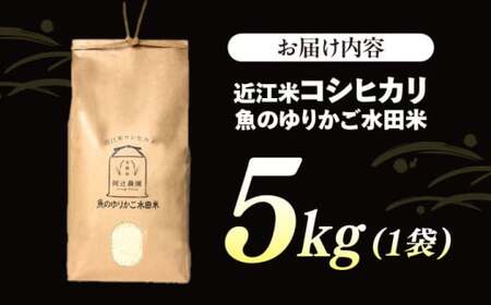 【スピード発送】米 近江米 コシヒカリ 5kg [AQAW003] コシヒカリ 白米