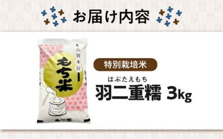 滋賀県産【特別栽培米】もち米 羽二重糯 3kg[AQCQ007] もち米
