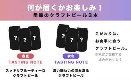 【全6回 定期便】クラフトビール 定番3種と季節のクラフトビール 計6本セット[AQBX072]
