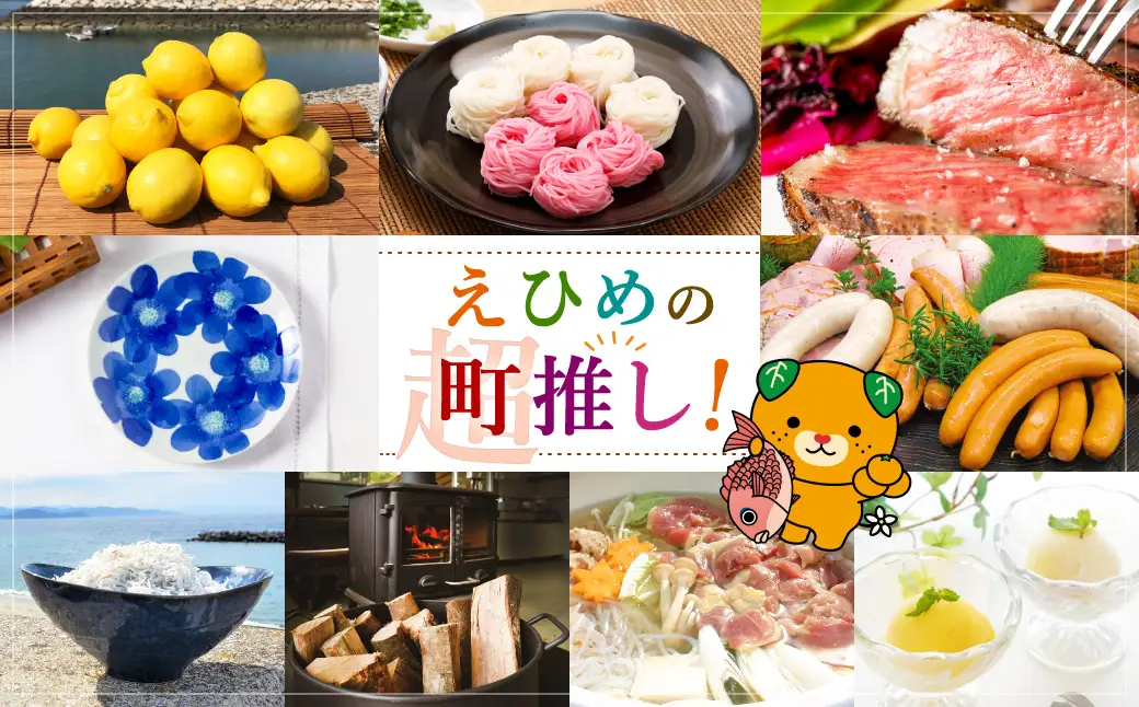 【令和7年産】 ひめの凜プレミアム＆自然環境米 鬼北のせせらぎ（コシヒカリ） 各2kg 計4kg コシヒカリ ひめの凜プレミアム 鬼北のせせらぎ 米 お米 ご飯 飯 愛媛県【えひめの町（超）推し！（鬼北町）】（390-2）