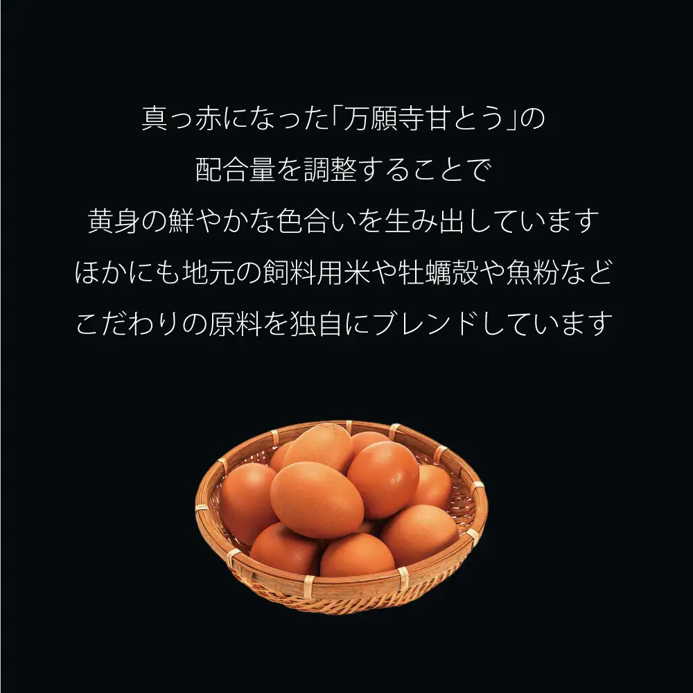 ガトーショコラ 缶詰 4缶セット スイーツ 缶詰