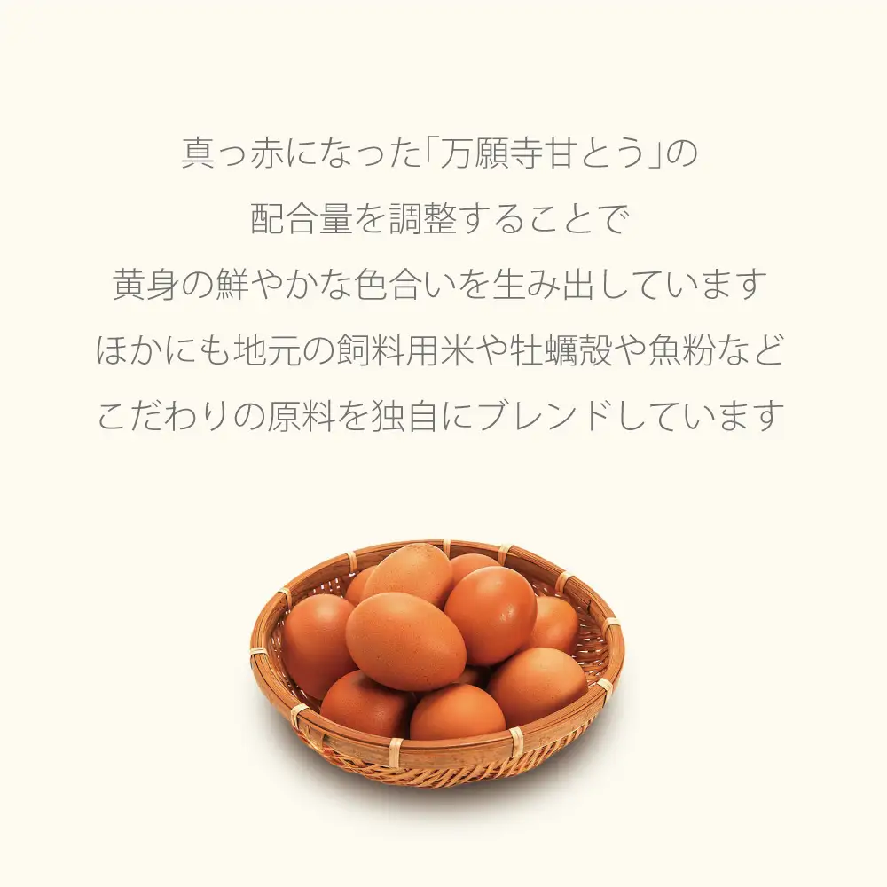 チーズケーキ 缶詰 4缶セット スイーツ 缶詰