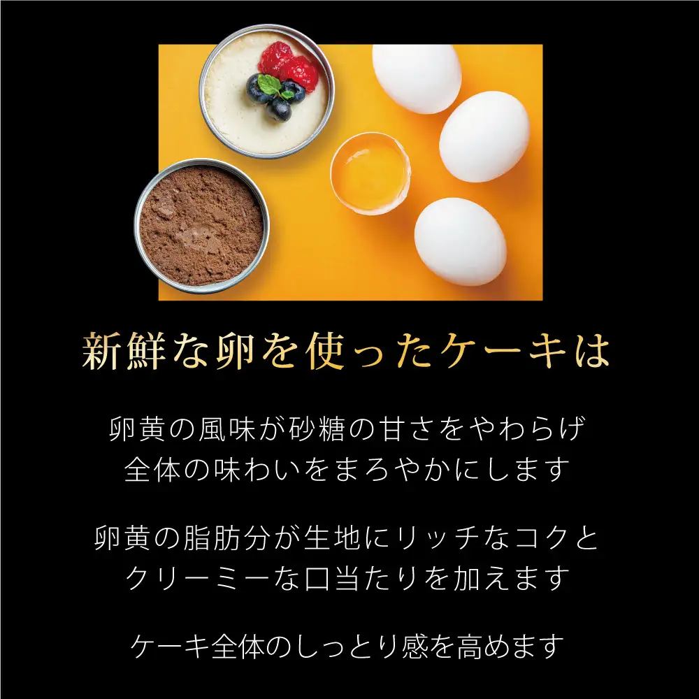 ガトーショコラ・チーズケーキ 缶詰 スイーツ 4缶セット 缶詰