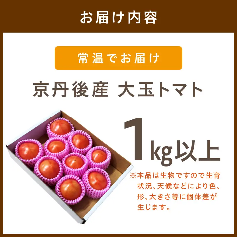 【トマト】大玉春夏トマト 1kg（2026年5月中旬～発送）