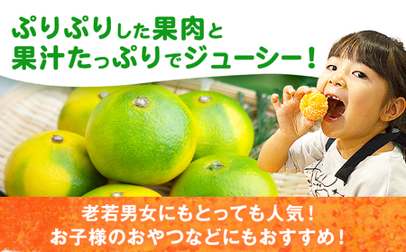 みかん 早味かん 約2kg  南国フルーツ株式会社【26年度出荷】《9月中旬-9月下旬頃出荷》福岡県 鞍手町 福岡県産 みかん 早味かん フルーツ 果物 