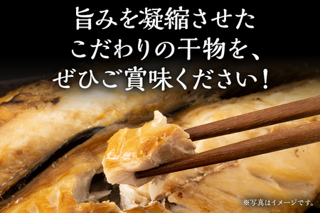 訳あり干物セット 訳あり 訳アリ 干物 魚 海鮮 カマス サバ 鯖 さば ひもの 冷凍 季節のおすすめ おかず 和食 玄界灘 福岡 グリル 約400g 2枚 開き お取り寄せ 食べ比べ おつまみ 肴 グルメ お取り寄せグルメ