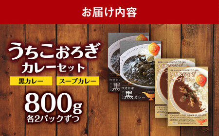 うちこおろぎスープカレー2個と定番コオロギ黒カレー2個セット BKBN003 カレー