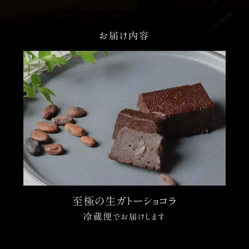 チョコレート専門店「MAGIE DU CHOCOLAT」至極の生ガトーショコラ【スイーツ チョコレート チョコレート菓子 焼き菓子 ガトーショコラ 生ガトーショコラ 濃厚 とろける 人気 おすすめ ギフト プレゼント 贈り物 ご褒美 贅沢】_0010-003-se4