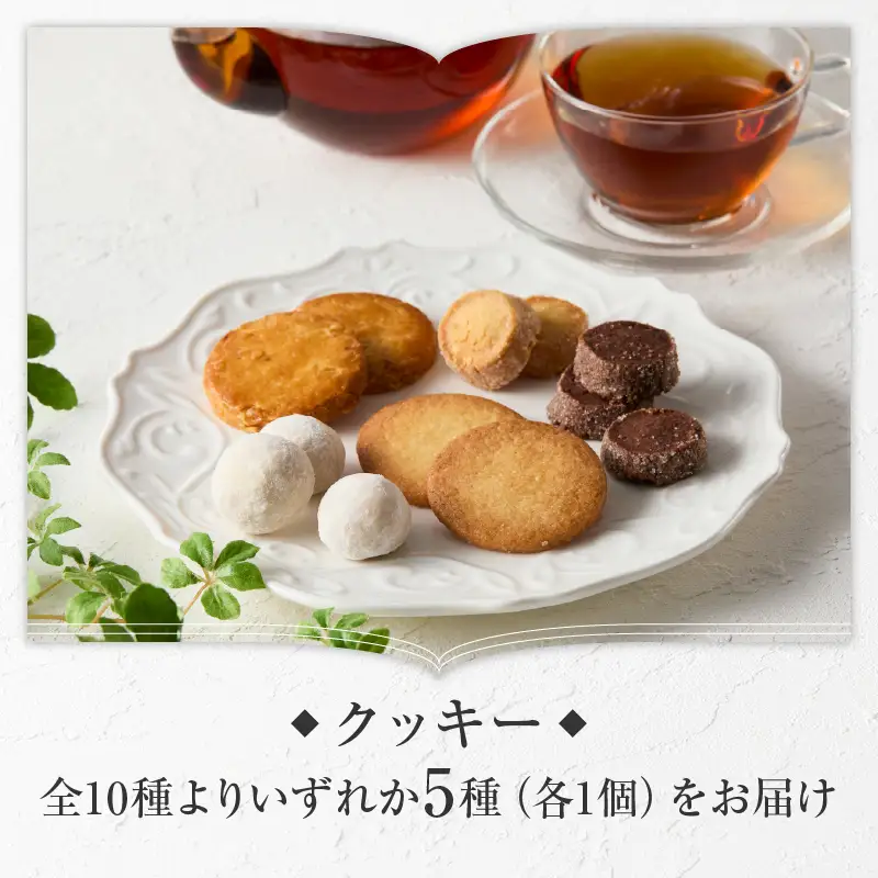 【パティスリーショコラトリーレシィ】アソートボックスB / スイーツ 洋菓子 焼き菓子 詰め合わせ クッキー ギフト プレゼント 贈り物 _0021-002-se5
