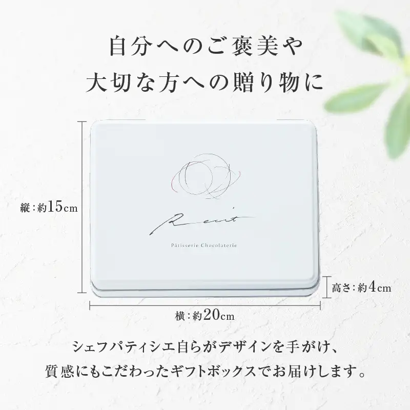 【パティスリーショコラトリーレシィ】フールセックアソルティ缶 / 6種 クッキー 詰め合わせ クッキー缶 スイーツ 洋菓子 焼菓子_0021-008-se5