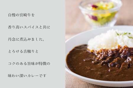 カレー 3回 定期便 レトルト 宮崎牛カレー 160g 12袋 総計36袋 [九州産商 宮崎県 日向市 452061182]