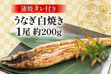 うなぎ 鰻 白焼き 1尾 たれ付き [オーチャンズ 宮崎県 美郷町 31bn0004]
