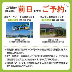 旬の果物摘み取り体験チケット　1回5,000円分　【チケット 券 人気 おすすめ 】