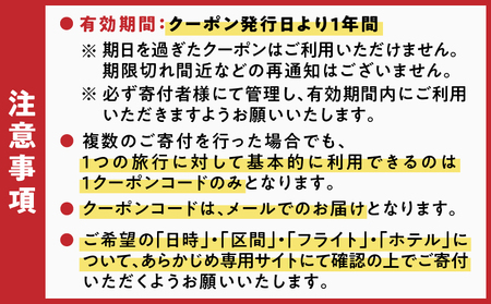 奄美市 に 泊まる ふるさと納税 旅行 クーポン【 15,000円 分 】 A184-005 割引券 ツアー 電子クーポン
