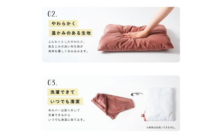 クッション AOAB091 ヒータークッション