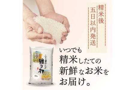 【定期便】令和7年産 10kg 【6ヵ月連続お届け】 計60kg 広島県産 あきさかり お米マイスター厳選