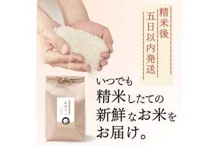 【定期便】令和7年産 2kg 【6ヵ月連続お届け】 計12kg 広島県産 お米マイスター厳選米 【出荷直前精米】