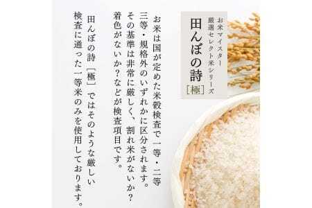 【定期便】令和7年産 5kg 【12ヵ月連続お届け】 計60kg 広島県産 お米マイスター厳選米 【出荷直前精米】
