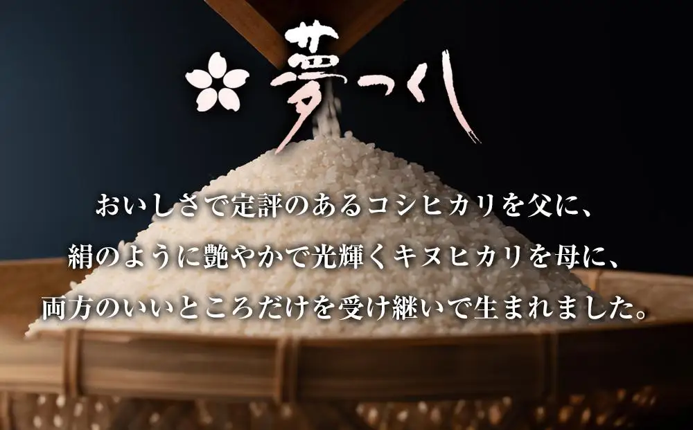 【令和7年産】福岡県産 米 夢つくし 15kg セット ( 5kg×3袋 ) | 米 お米 こめ 白米 精米 ライス ブランド米 美味しい ご飯 おいしい ごはん