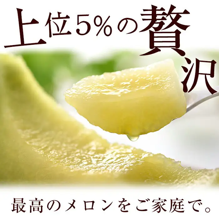 【春限定】極上メロン「秘蔵っ娘」白玉(青肉)1個 メロン マスクメロン 果物 くだもの デザート 青肉 a5-059-s