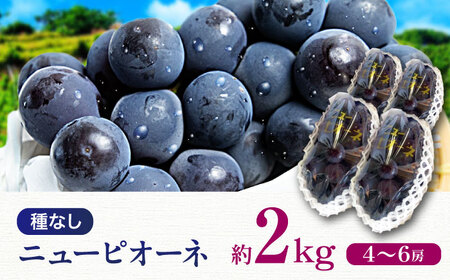 ぶどう【先行予約】【2026年8月中旬から順次発送】ニューピオーネ 2kg（4から6房） ぶどう[AGDB001]