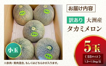 メロン【6月下旬から順次発送】 訳あり 小玉メロン（タカミ） SSサイズ 5玉入り（1.3kg～1.5kg） メロン[AGDG001]