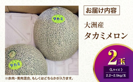 メロン【6月下旬から順次発送】 タカミ メロン Lサイズ 2玉入り（2.2kg～2.5kg) メロン[AGDG003]