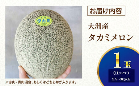メロン【6月下旬から順次発送】 タカミ メロン LLサイズ 1玉入り（2.5kg～3kg以下) メロン[AGDG004]