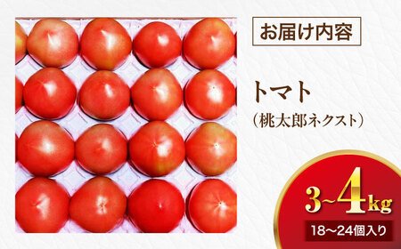 トマト【4月中旬から順次発送】 トマト 桃太郎ネクスト 18～24個入り（約3～4kg） トマト[AGDG007]