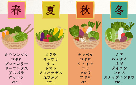 季節の野菜セットA | 詰め合わせ 果物 新鮮 お試し おすすめ 冬 春 夏 秋 国産 奈良県 五條市