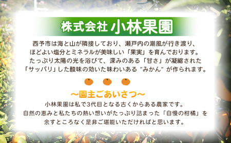 【先行予約】＜愛媛県西予市産 ブラッドオレンジ 家庭用 約3.2kg＞※2027年3月上旬～4月上旬迄に順次出荷予定 愛媛県産 西宇和 家庭用 不揃い 果物 フルーツ 柑橘 ぶらっどおれんじ オレンジ みかん ミカン 蜜柑 訳あり ワケアリ 国産 小林果園 愛媛県 西予市 【常温】OKE0003