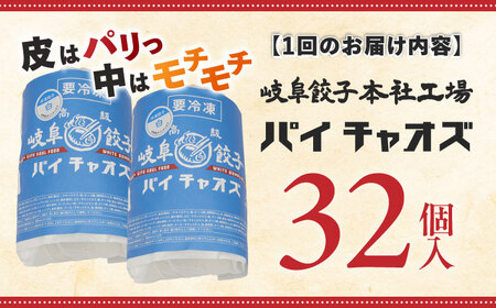 餃子 【3回定期便】 岐阜餃子32個入り [ANEY006] 餃子