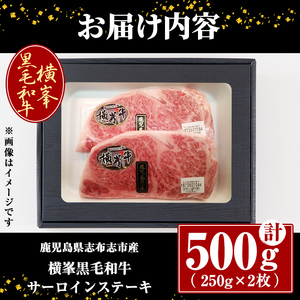 鹿児島県志布志市産横峯黒毛和牛のサーロインステーキ計500g(250g×2枚) 鹿児島県産 国産 牛肉 牛 焼き肉 希少牛 サーロイン ステーキ バーベキュー BBQ d0-030