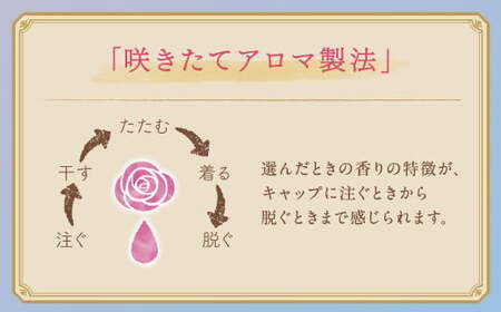 ソフラン アロマリッチ ジュリエット 替特大 セット （替特大6個） 合計4,500g 柔軟剤 洗濯 日用品 生活用品 ライオン